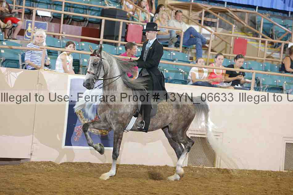 Proof 13yn_06633
