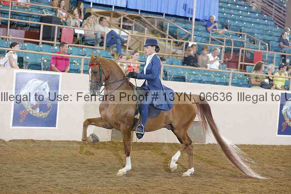 Proof 13yn_06636