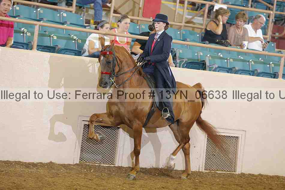 Proof 13yn_06638