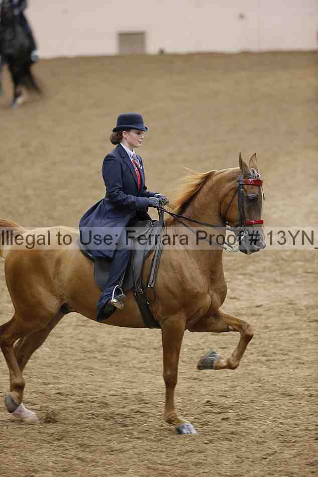 Proof 13yn_06639