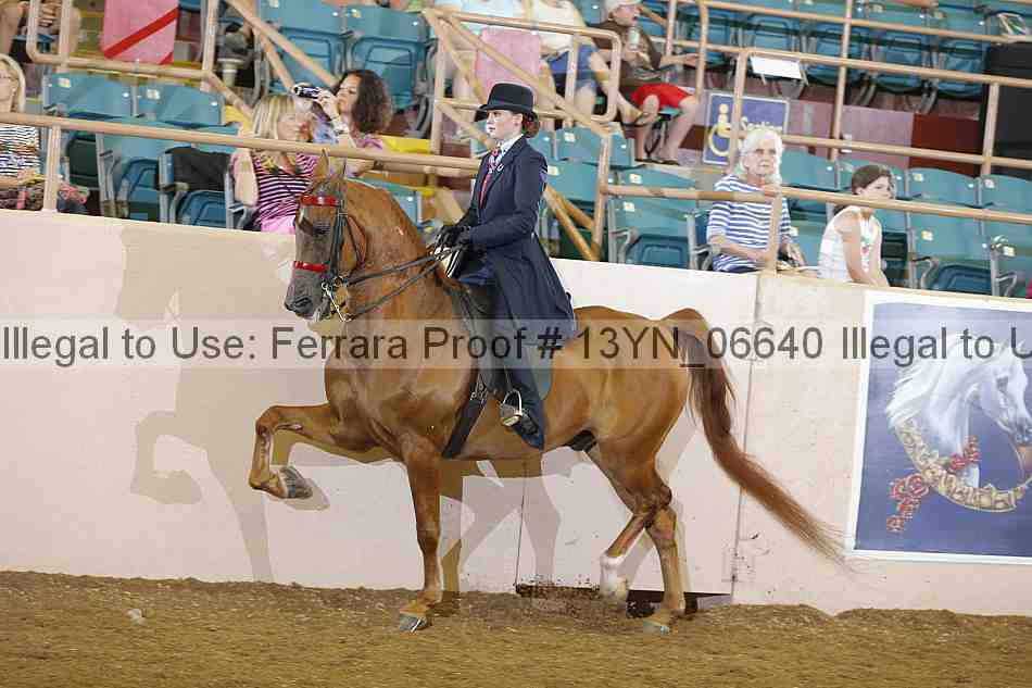 Proof 13yn_06640