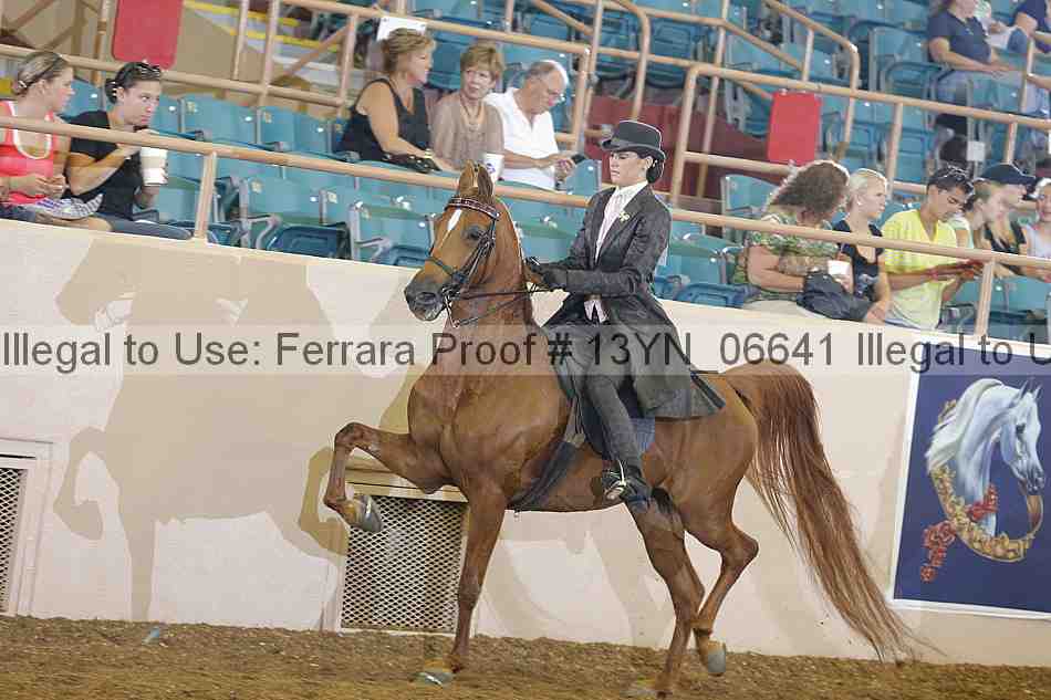 Proof 13yn_06641