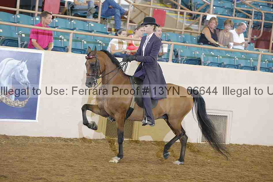 Proof 13yn_06644