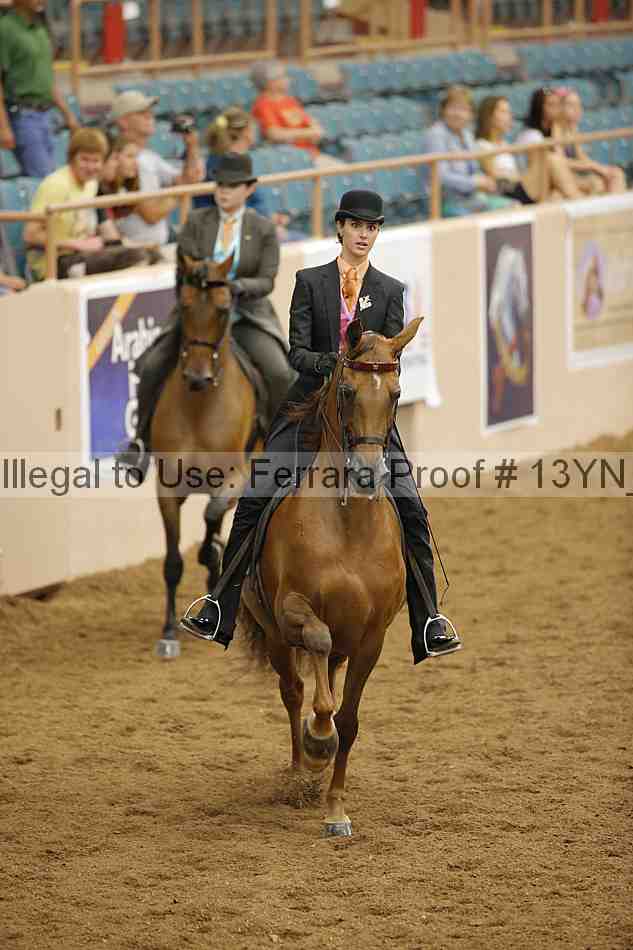 Proof 13yn_06646
