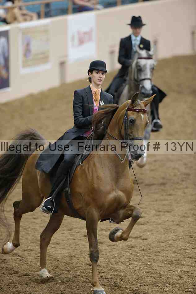 Proof 13yn_06647