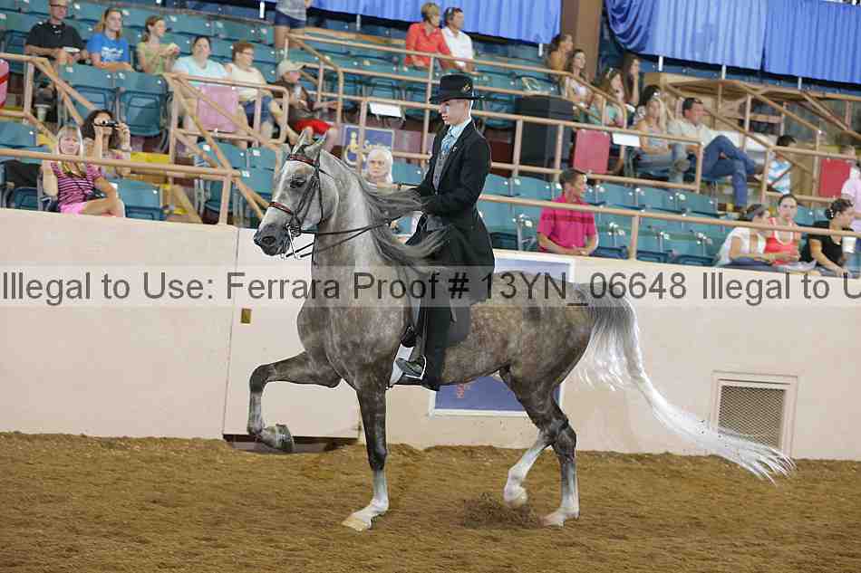 Proof 13yn_06648