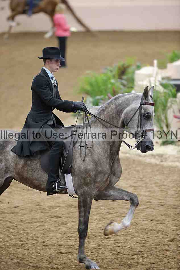 Proof 13yn_06649
