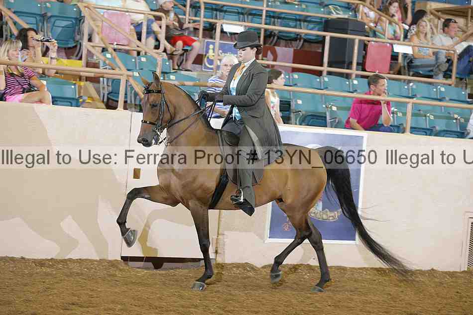 Proof 13yn_06650