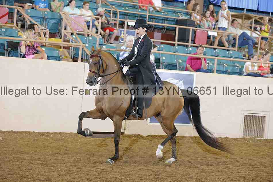 Proof 13yn_06651