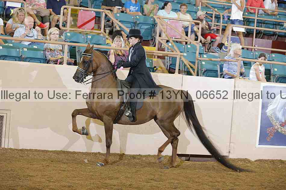 Proof 13yn_06652