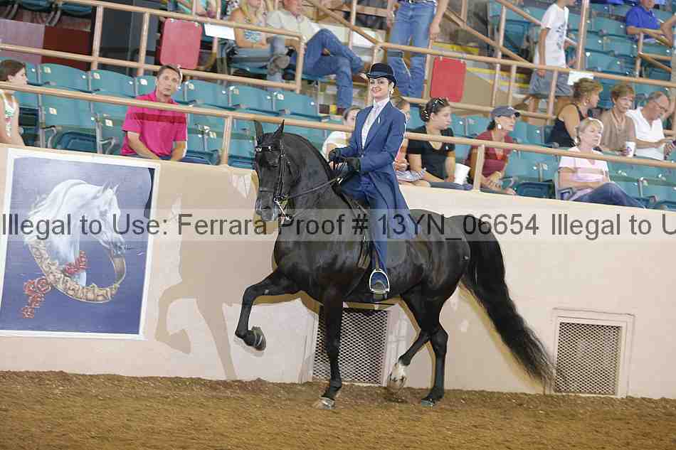 Proof 13yn_06654