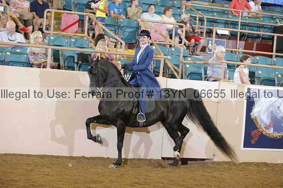 Proof 13yn_06655