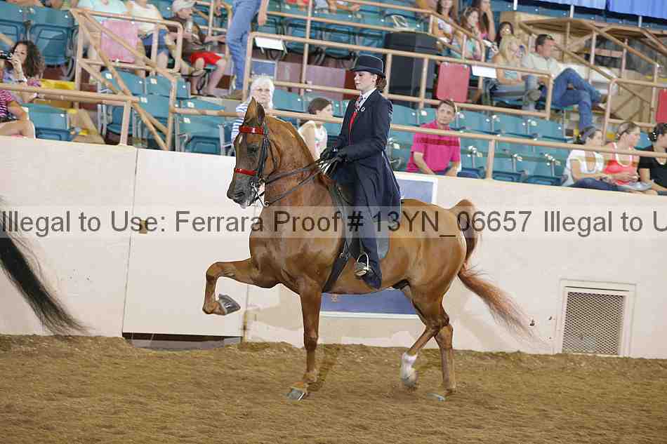 Proof 13yn_06657