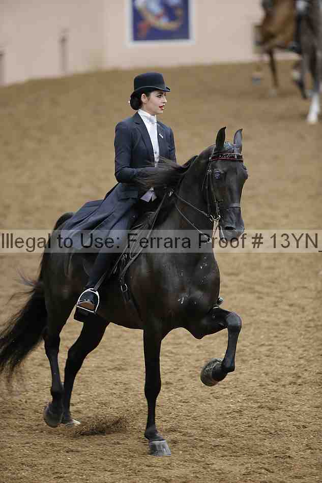 Proof 13yn_06658