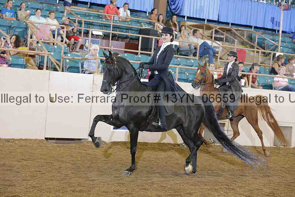 Proof 13yn_06659
