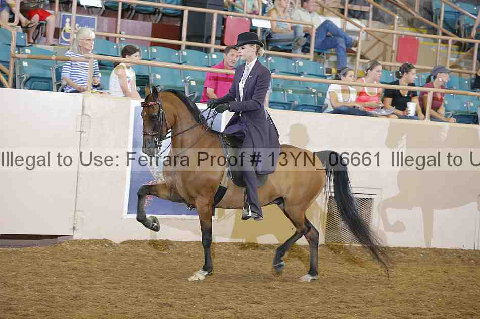 Proof 13yn_06661