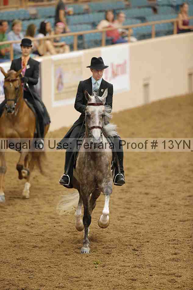 Proof 13yn_06662