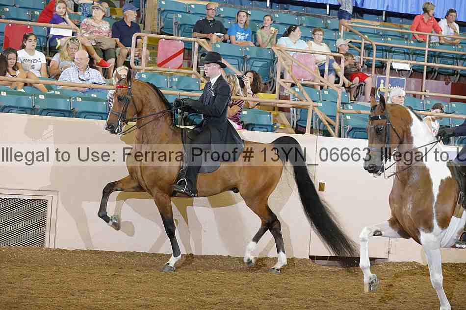 Proof 13yn_06663