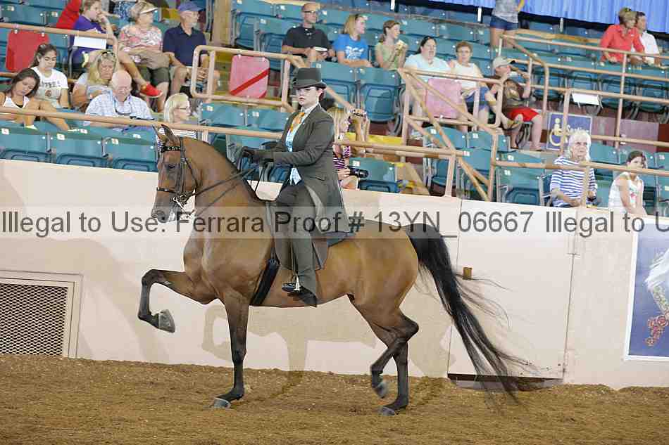 Proof 13yn_06667