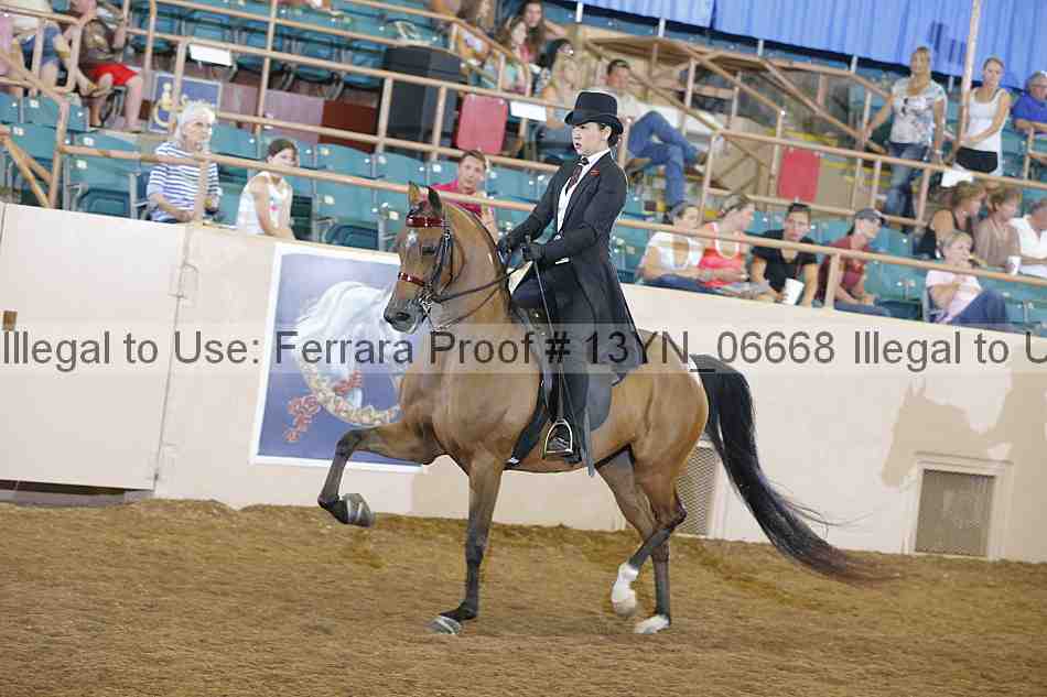 Proof 13yn_06668