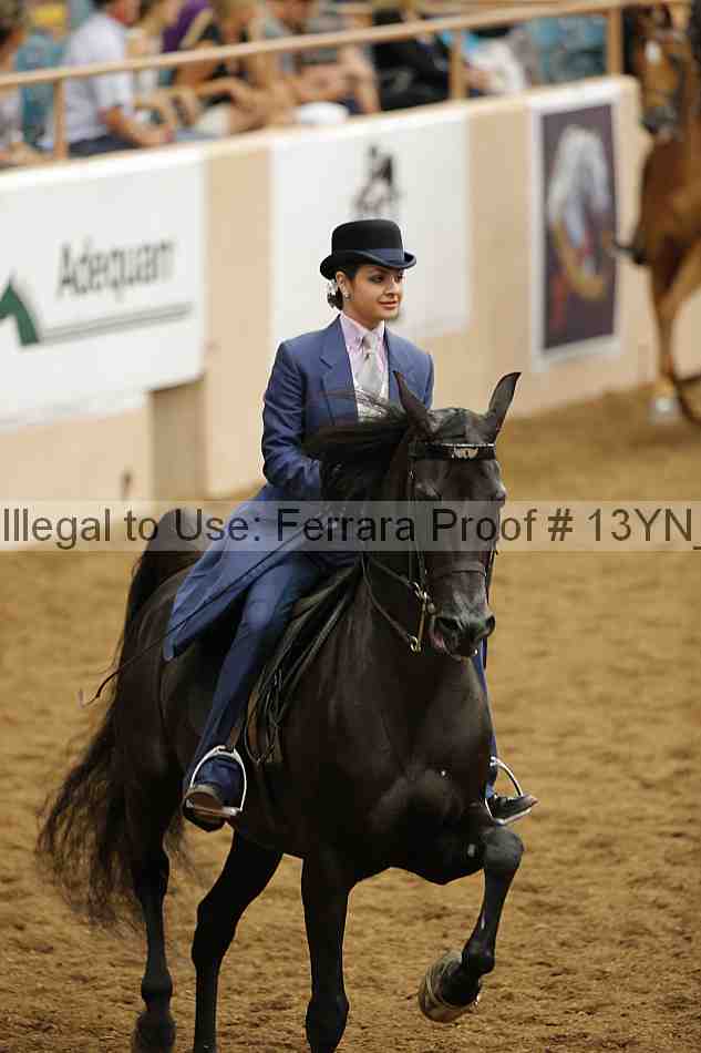 Proof 13yn_06669