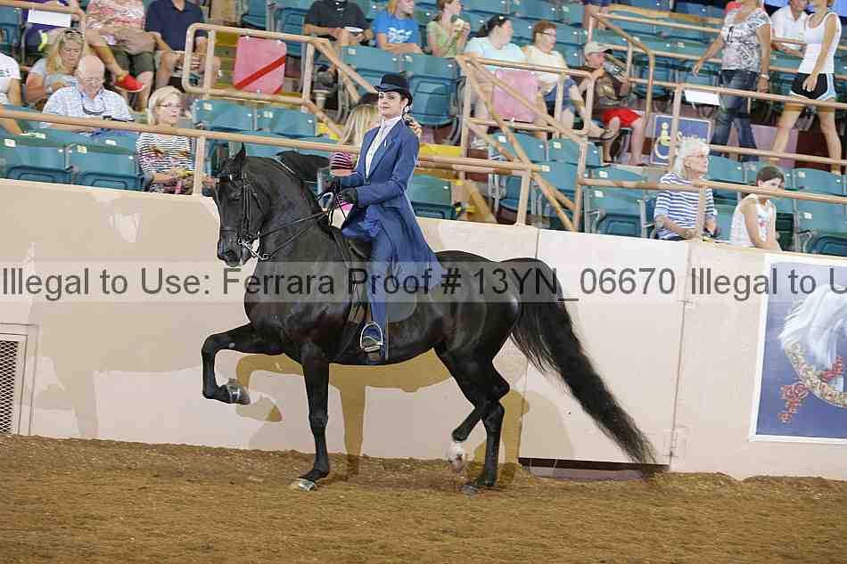 Proof 13yn_06670