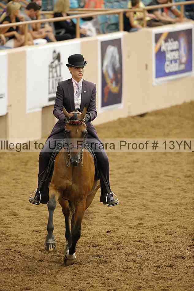 Proof 13yn_06671