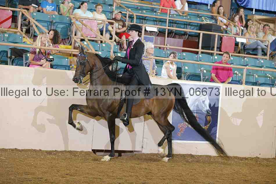 Proof 13yn_06673