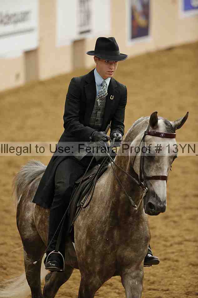 Proof 13yn_06675