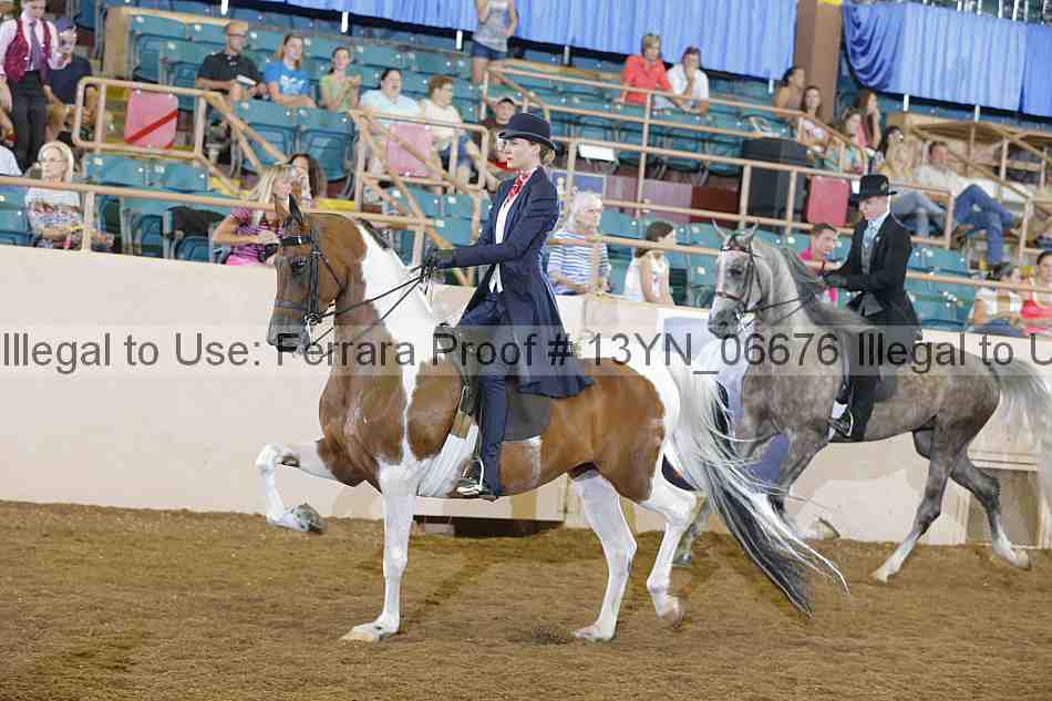 Proof 13yn_06676