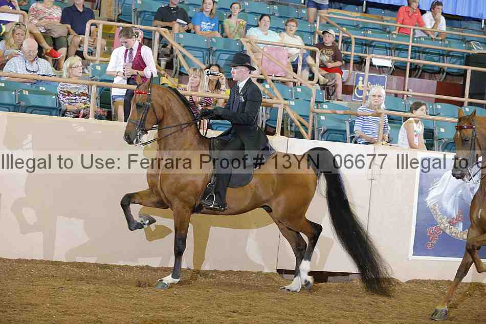 Proof 13yn_06677