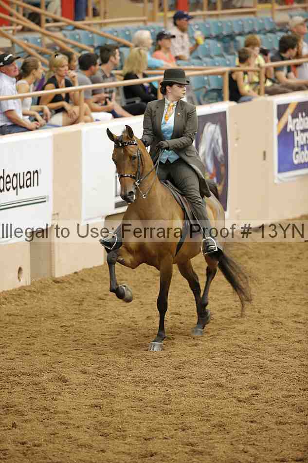 Proof 13yn_06678
