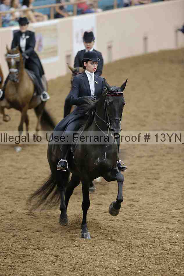 Proof 13yn_06679