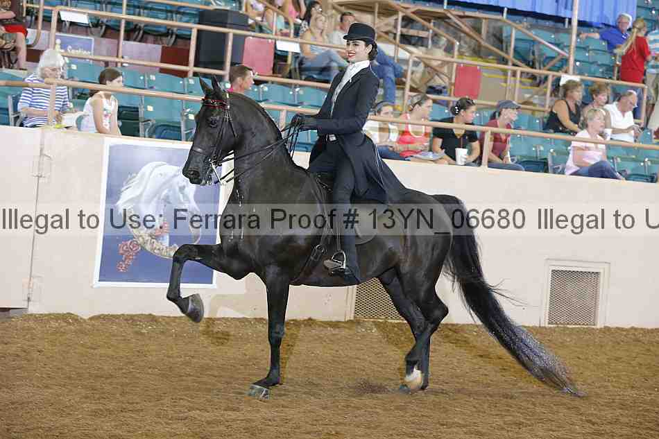 Proof 13yn_06680