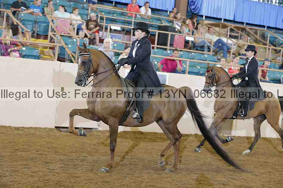 Proof 13yn_06682
