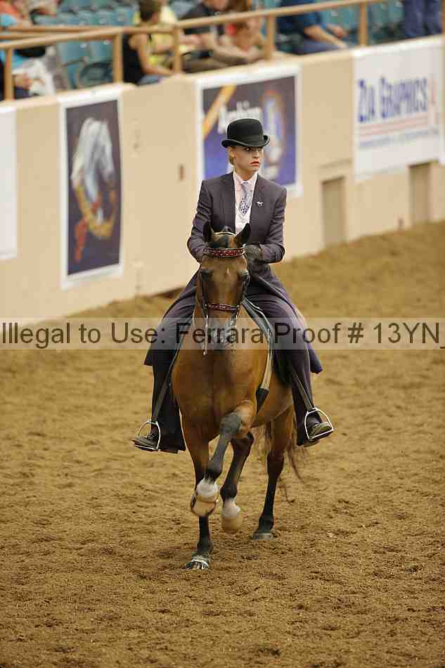 Proof 13yn_06683