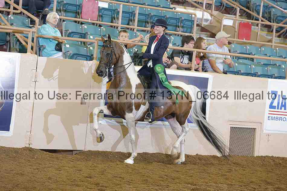 Proof 13yn_06684