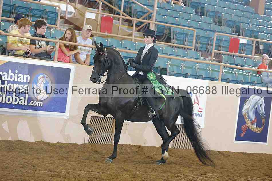 Proof 13yn_06688