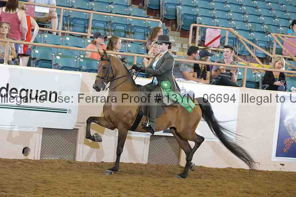 Proof 13yn_06694