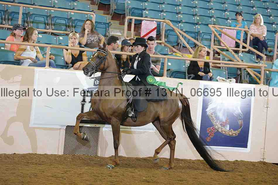 Proof 13yn_06695