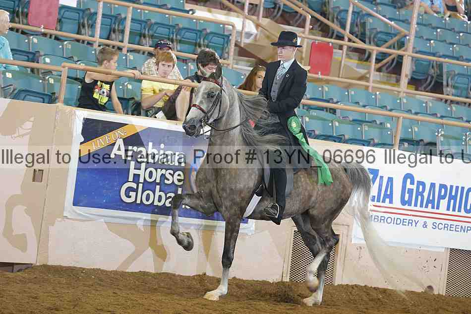 Proof 13yn_06696