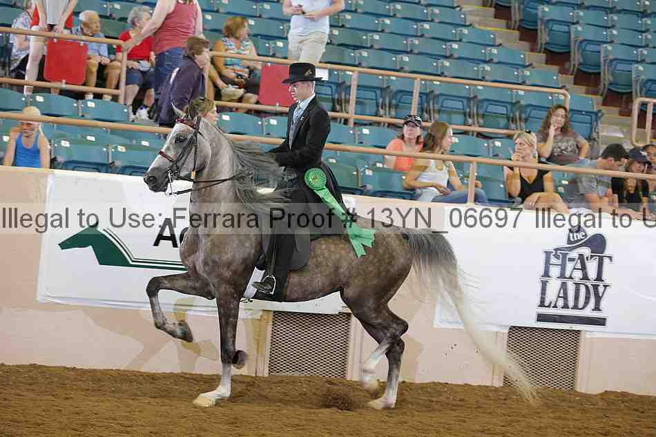 Proof 13yn_06697