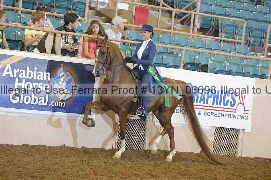 Proof 13yn_06698