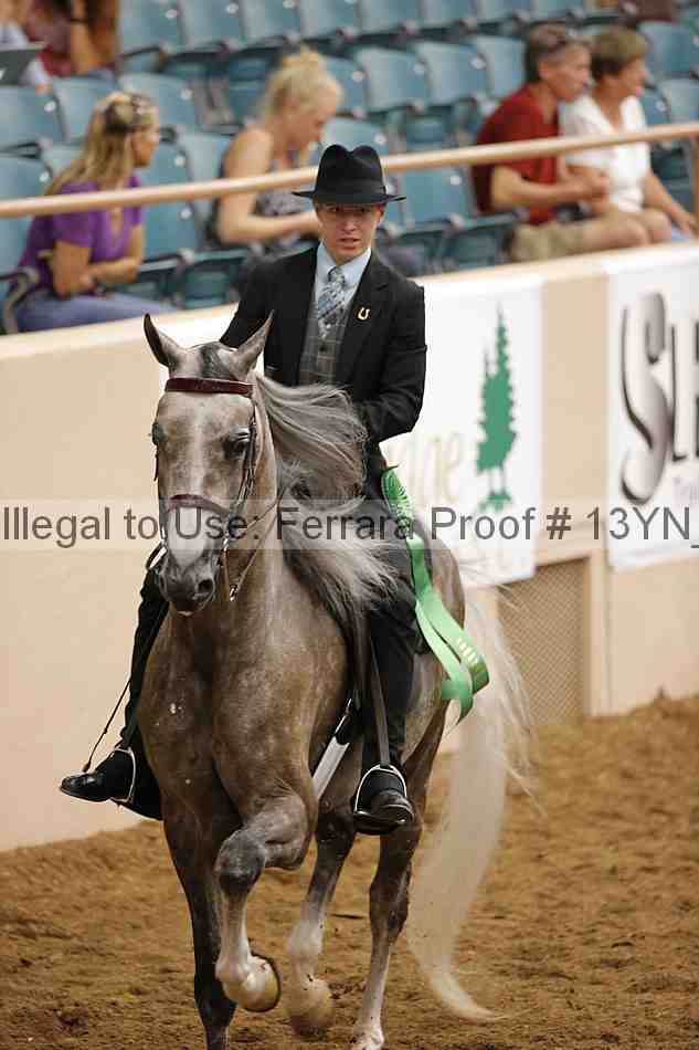 Proof 13yn_06701
