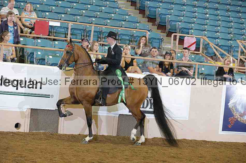 Proof 13yn_06702