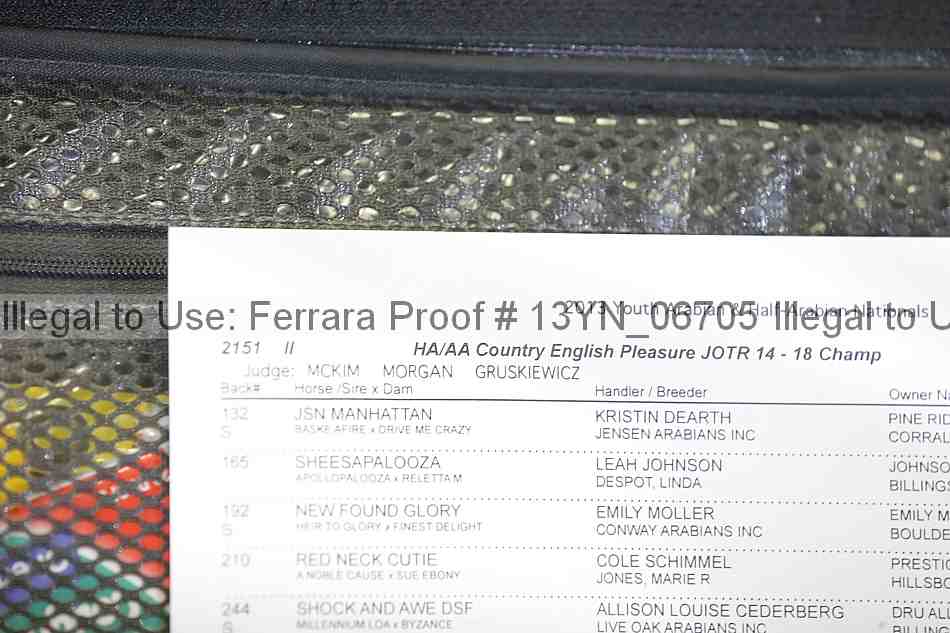 Proof 13yn_06705