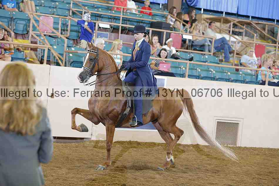 Proof 13yn_06706