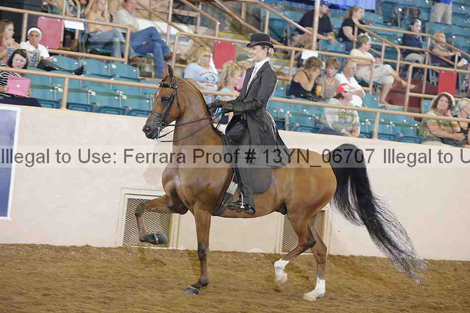 Proof 13yn_06707
