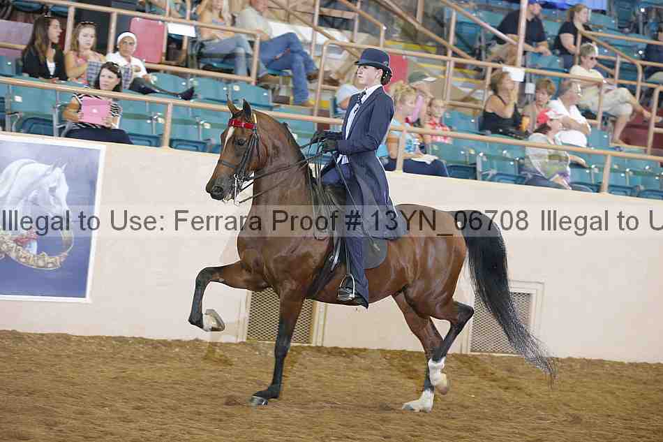 Proof 13yn_06708