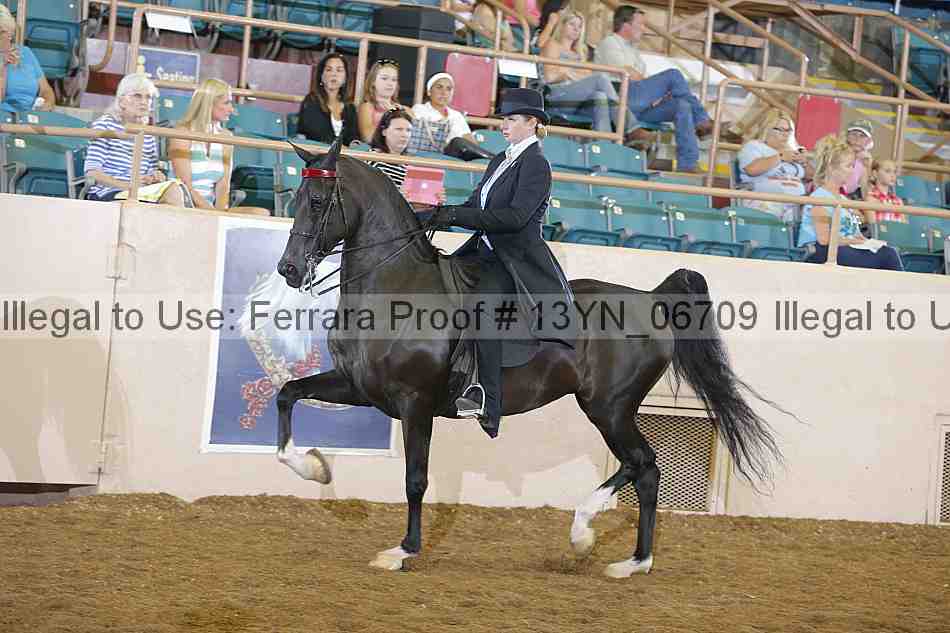 Proof 13yn_06709